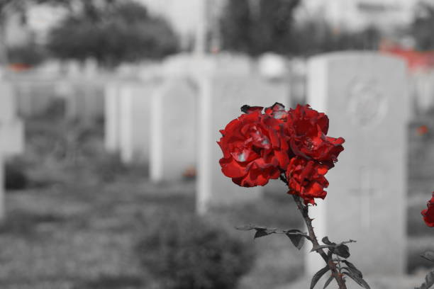 istock The British Cemetery of Ramle , Israel 899439396