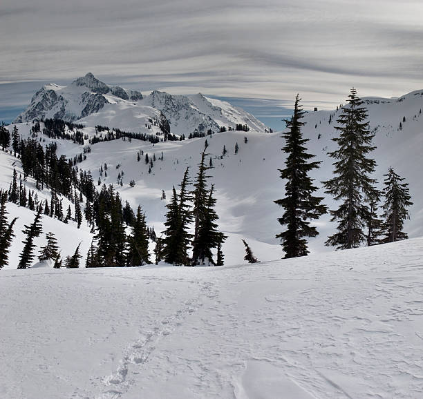 Mt. Shuksan  mt shuksan stock pictures, royalty-free photos & images