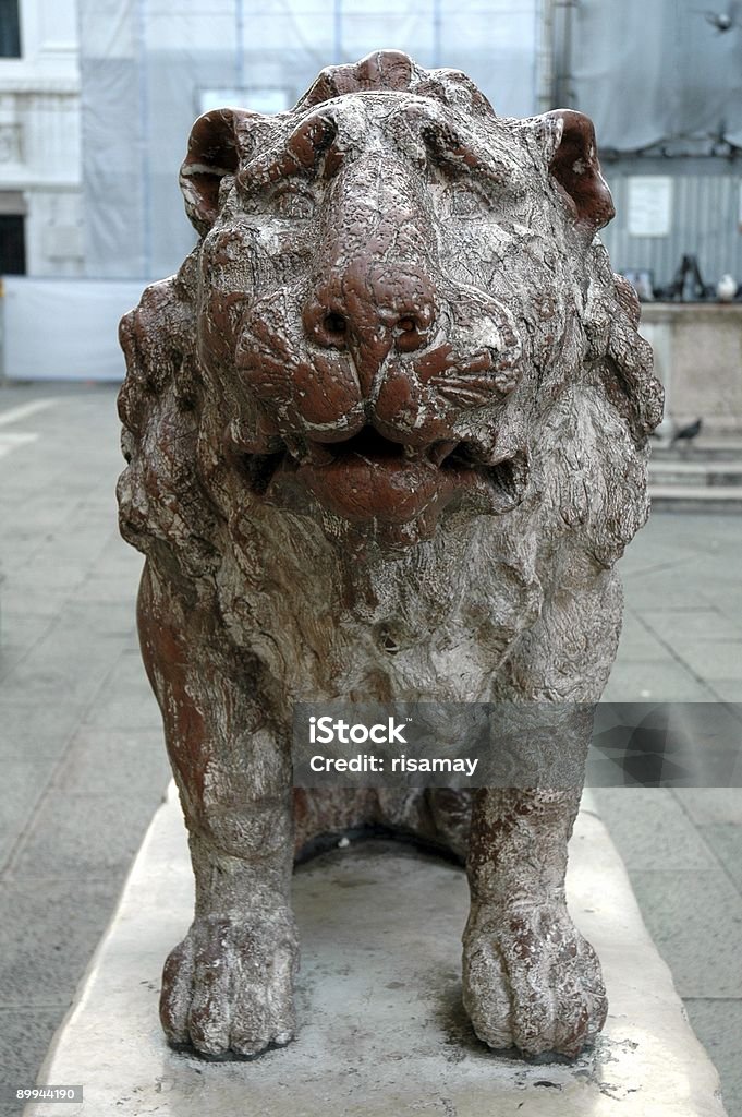 Stone Lion, Venice, Italy.  Animal Wildlife Stock Photo
