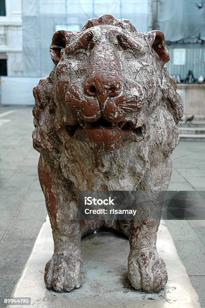 Stone Lion Venice Italy Stock Photo - Download Image Now - Animal Wildlife, Animals In The Wild, Architecture