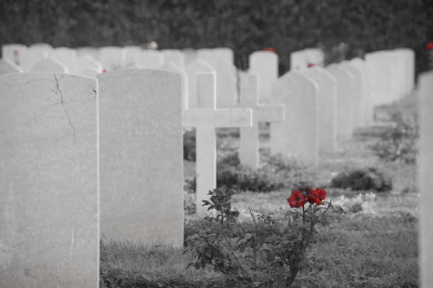 istock The British Cemetery of Ramle , Israel 899441950
