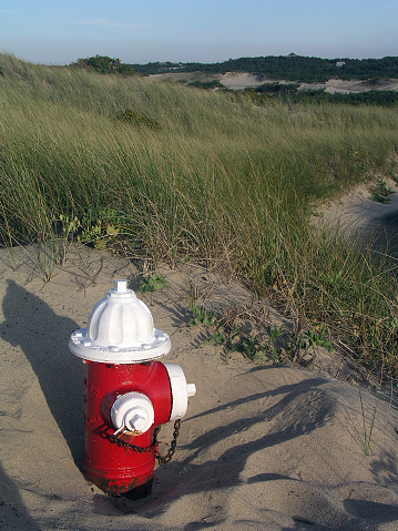 Red Fire Hydrant in sand dunes