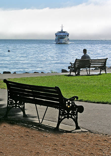 Man waiting for ferry  sausalito stock pictures, royalty-free photos & images