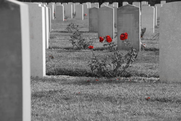 istock The British Cemetery of Ramle , Israel 899442092