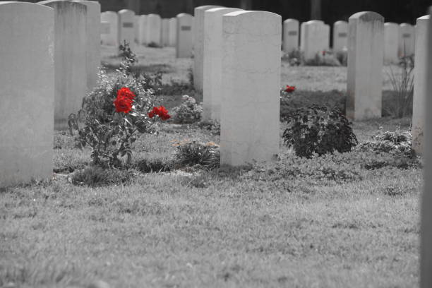 istock The British Cemetery of Ramle , Israel 899442402