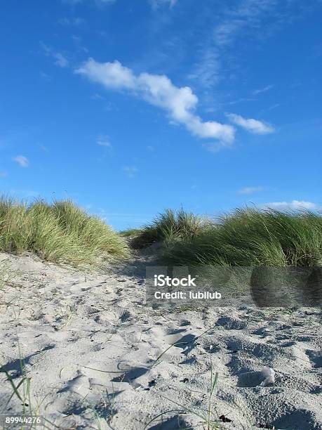 Photo libre de droit de Dunes Et Du Ciel Sur La Plage banque d'images et plus d'images libres de droit de Danemark - Danemark, Vue en contre-plongée, Dune de sable