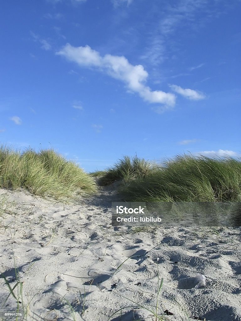 Дюны и небо на пляже - Стоковые фото Дания роялти-фри