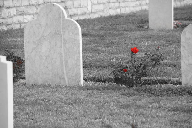istock The British Cemetery of Ramle , Israel 899443308