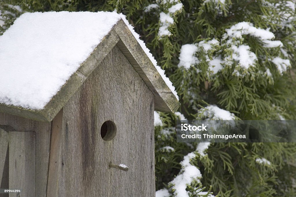 Hiver Cabane à oiseaux - Photo de Cabane à oiseaux libre de droits