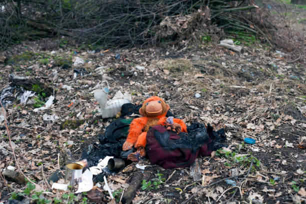 Burned garbage lying in forest Burned garbage lying on ground in forest toy monkey stock pictures, royalty-free photos & images