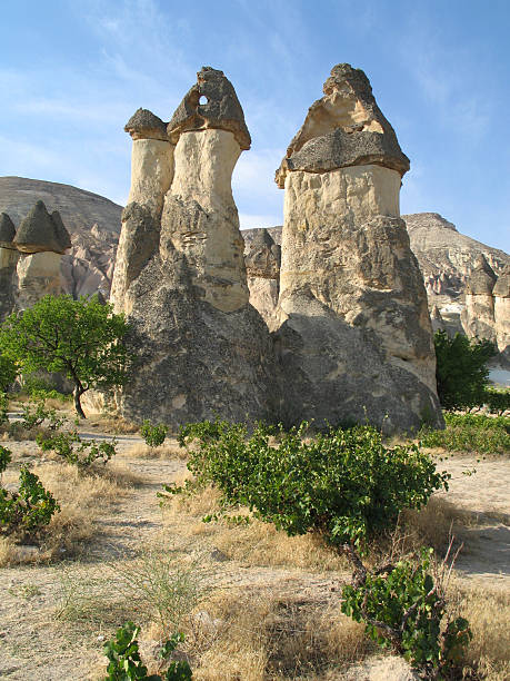 la cappadoce - cappadocia fun nature mushroom photos et images de collection