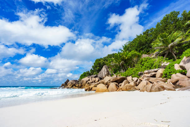 paradiesstrand auf den seychellen, petite anse la digue 1 - 16022 stock-fotos und bilder