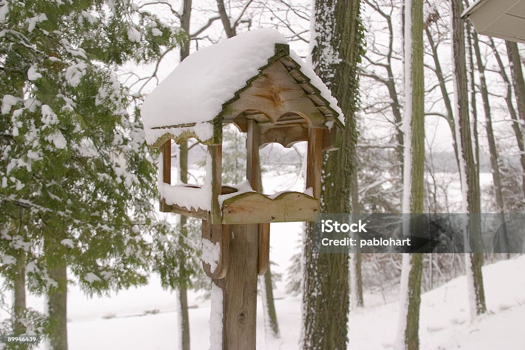 Casa de passarinho de neve 2 - Foto de stock de Alimentar royalty-free