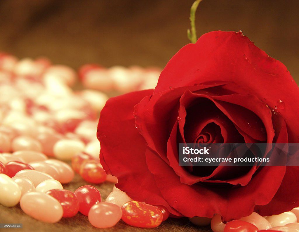 valentine rose und jelly beans - Lizenzfrei Betrachtung Stock-Foto
