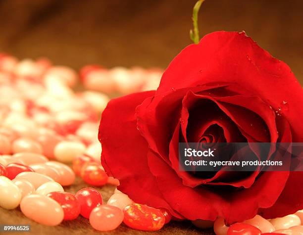 Valentine Rose Und Jelly Beans Stockfoto und mehr Bilder von Betrachtung - Betrachtung, Blütenblatt, Bohne