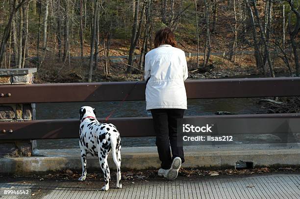 Photo libre de droit de Femme Avec Dalmatien Sur Le Pont banque d'images et plus d'images libres de droit de Adulte - Adulte, Amitié, Amour