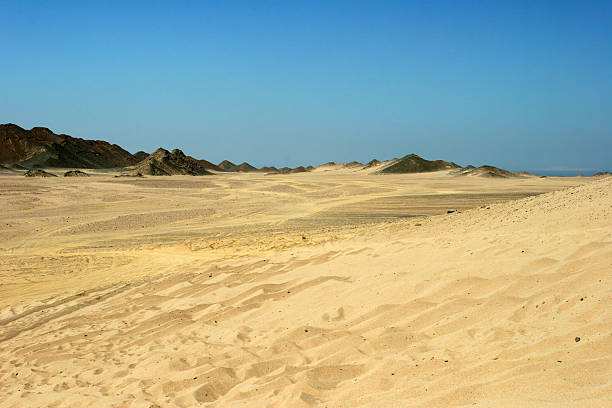desert près de hurghada - tire track egypt track africa photos et images de collection