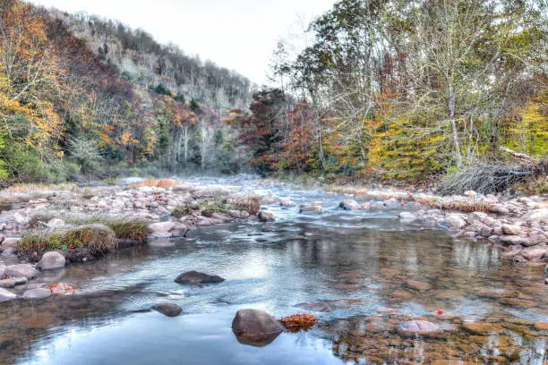 Morning dark river tea creek landscape with mist, fog and autumn fall foliage forest, stones or rocks in shallow water in West Virginia