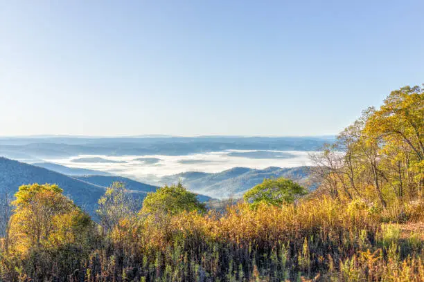 Overlook of West Virginia mountains in autumn fall with foliage and mist fog clouds covering valley in morning sunrise sunlight
