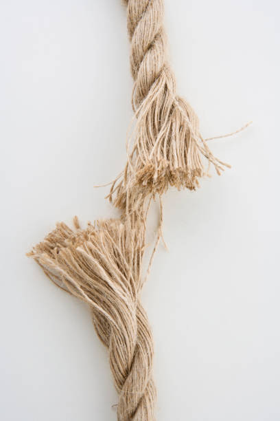 corda di nave isolata su sfondo bianco - rope frayed breaking tied knot foto e immagini stock