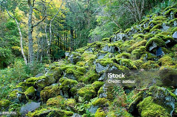 Pendenza Di Basalto Blocchi - Fotografie stock e altre immagini di A forma di blocco - A forma di blocco, Albero, Ambientazione esterna