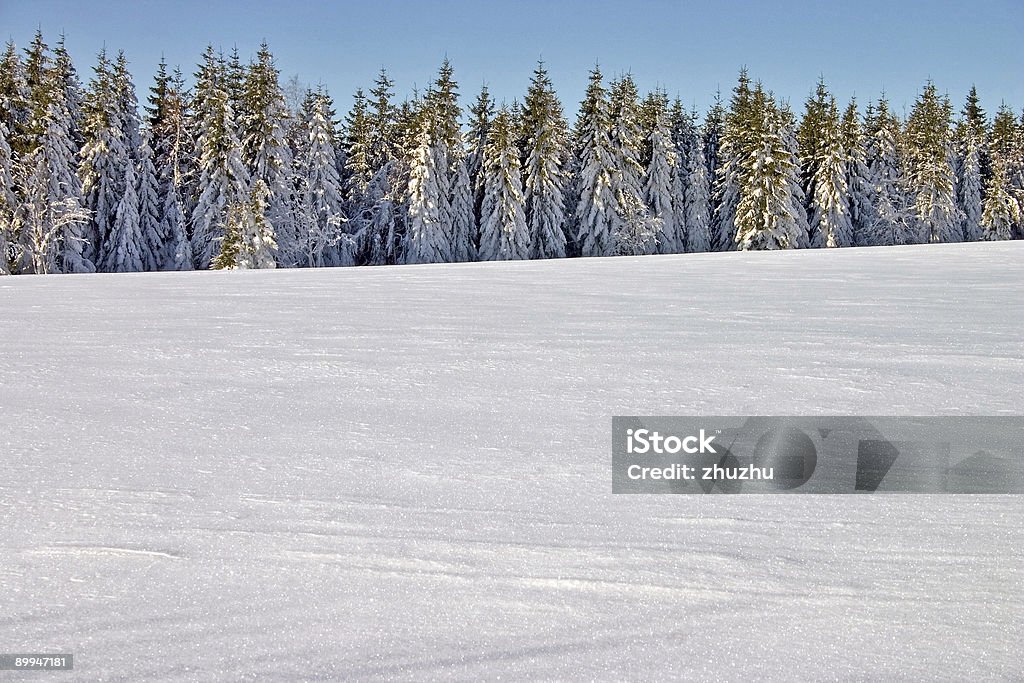 Paysage de neige - Photo de Arbre libre de droits