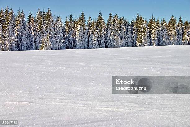 Photo libre de droit de Paysage De Neige banque d'images et plus d'images libres de droit de Arbre - Arbre, Blanc, Bois