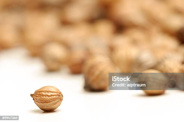 Semilla De Coriandro Macro Foto de stock y más banco de imágenes de Alimento - Alimento, Color - Tipo de imagen, Comida sana