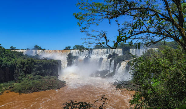 istock The Iguazu Falls on the Argentine side. 899474082