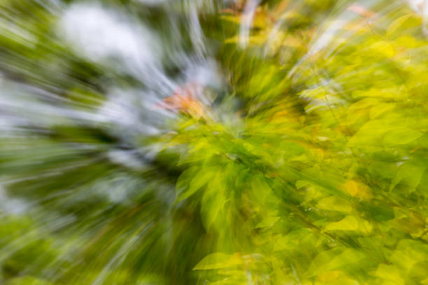 istock background of nature in motion 899479136