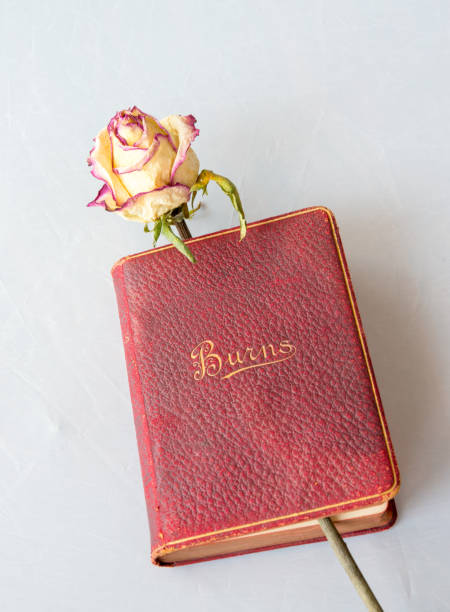 secado poettry rosa y antiguo libro de robert burns, publicado en 1885 - robert burns fotografías e imágenes de stock
