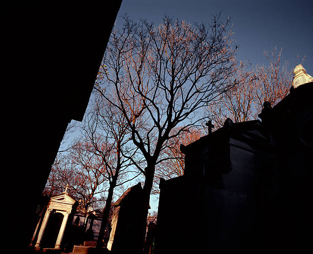 Montmartre cemetery, Paris.  hope god lighting technique tree stock pictures, royalty-free photos & images