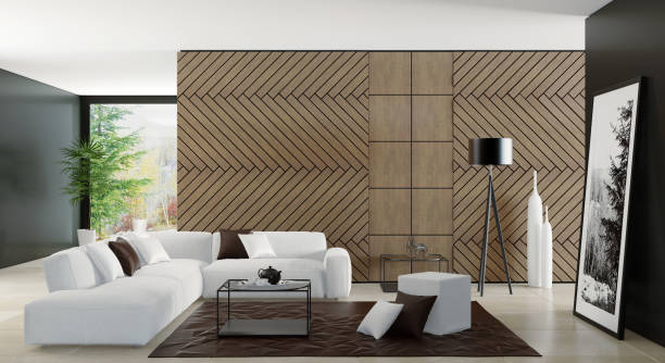istock Contemporary dark minimalist living room interior with white sofa 899489464