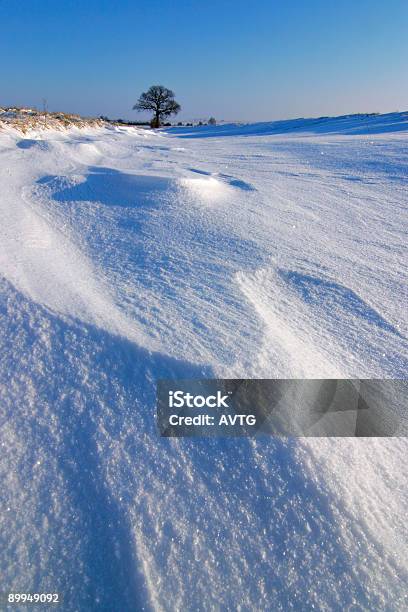 Drifting Snow Stock Photo - Download Image Now - Adventure, Antarctica, Arctic