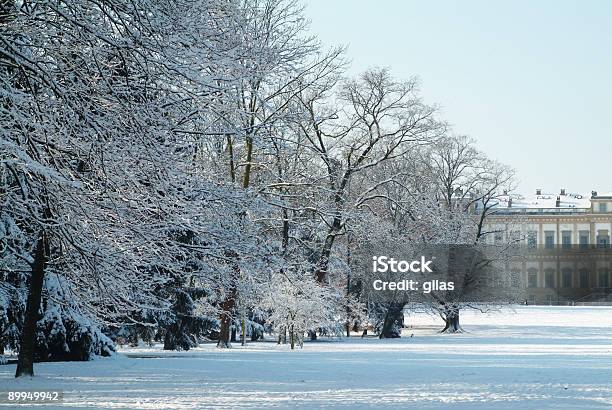 Villa Reale In Winter Stock Photo - Download Image Now - Monza - Lombardy, Villa, Royalty