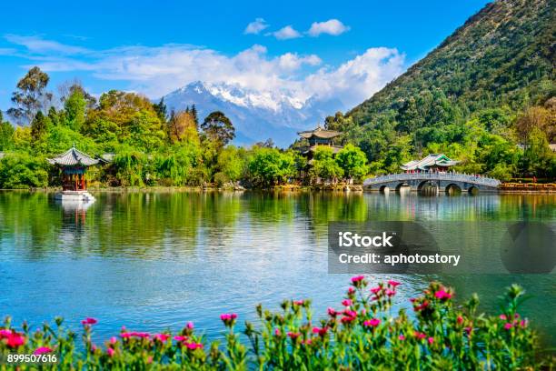 블랙 드래곤 풀과 옥 룡 설 산 중국에 대한 스톡 사진 및 기타 이미지 - 중국, 봄, 용