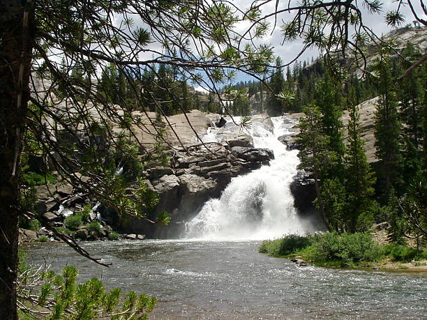 kleiner wasserfall - yosemite falls tree branch landscape stock-fotos und bilder