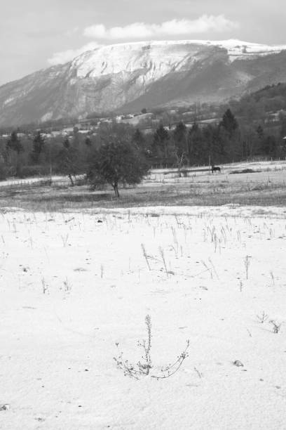 Snow and mountain stock photo