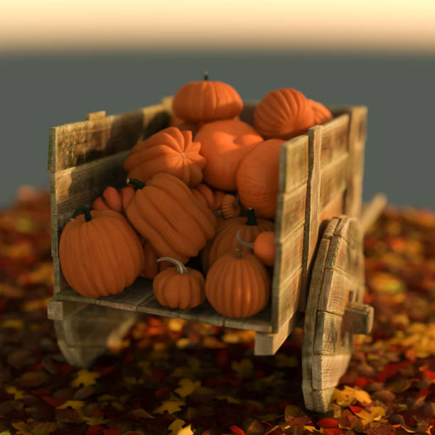 Harvest Time Pumpkins stock photo