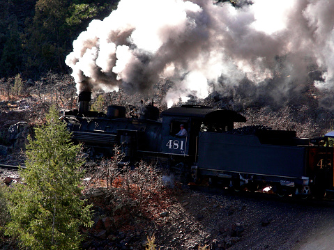 Brightly illuminated plume of steam on narrow gauge engine steaming through the mountain woods