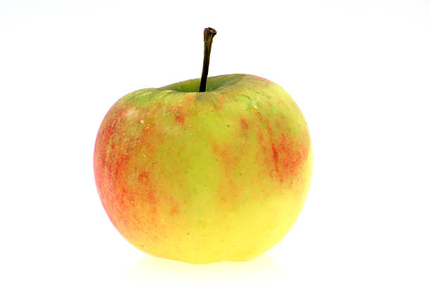 Fresh apple stock photo