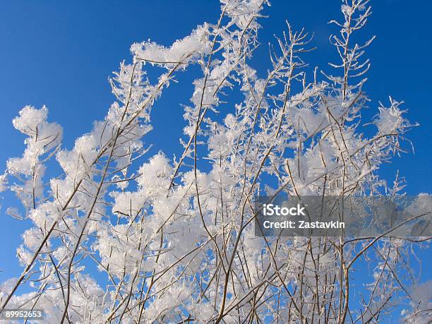 Grass Dressed In The Snow Overcoat Stock Photo - Download Image Now - Blue, Cold Temperature, Color Image