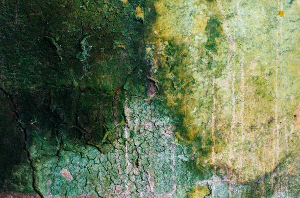 istock Grunge backdrop in yellow and green 899540296