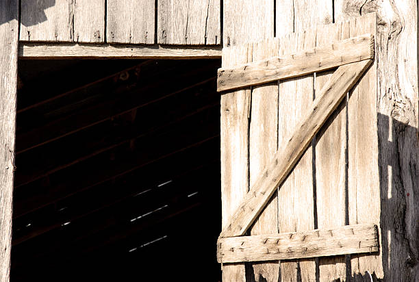 An old historical wooden door on an old wall in horizontal format