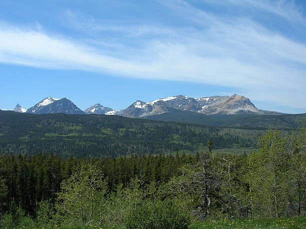 istock Mountains beyond, Glacier National Park, Montana 89956502