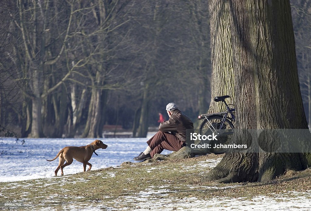 Rilassante nel parco - Foto stock royalty-free di Ambientazione esterna