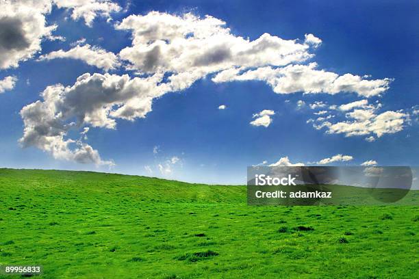 아름다운 Day 구름에 대한 스톡 사진 및 기타 이미지 - 구름, 녹색, 들