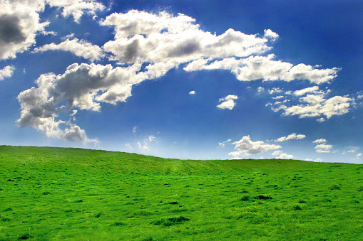 Green field on a beautiful day