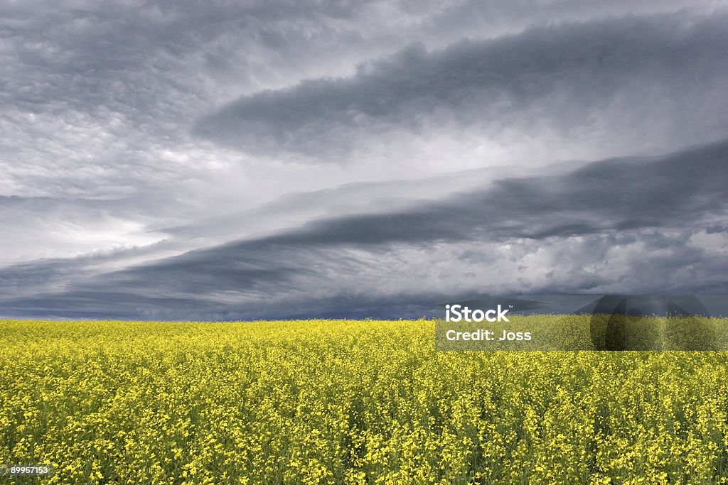 Stormclouds sur la Prairie - Photo de Minnedosa libre de droits