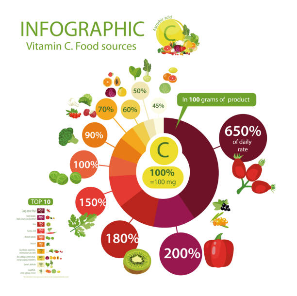 ilustrações, clipart, desenhos animados e ícones de a vitamina c ou ácido ascórbico. - kohlrabi purple cabbage organic